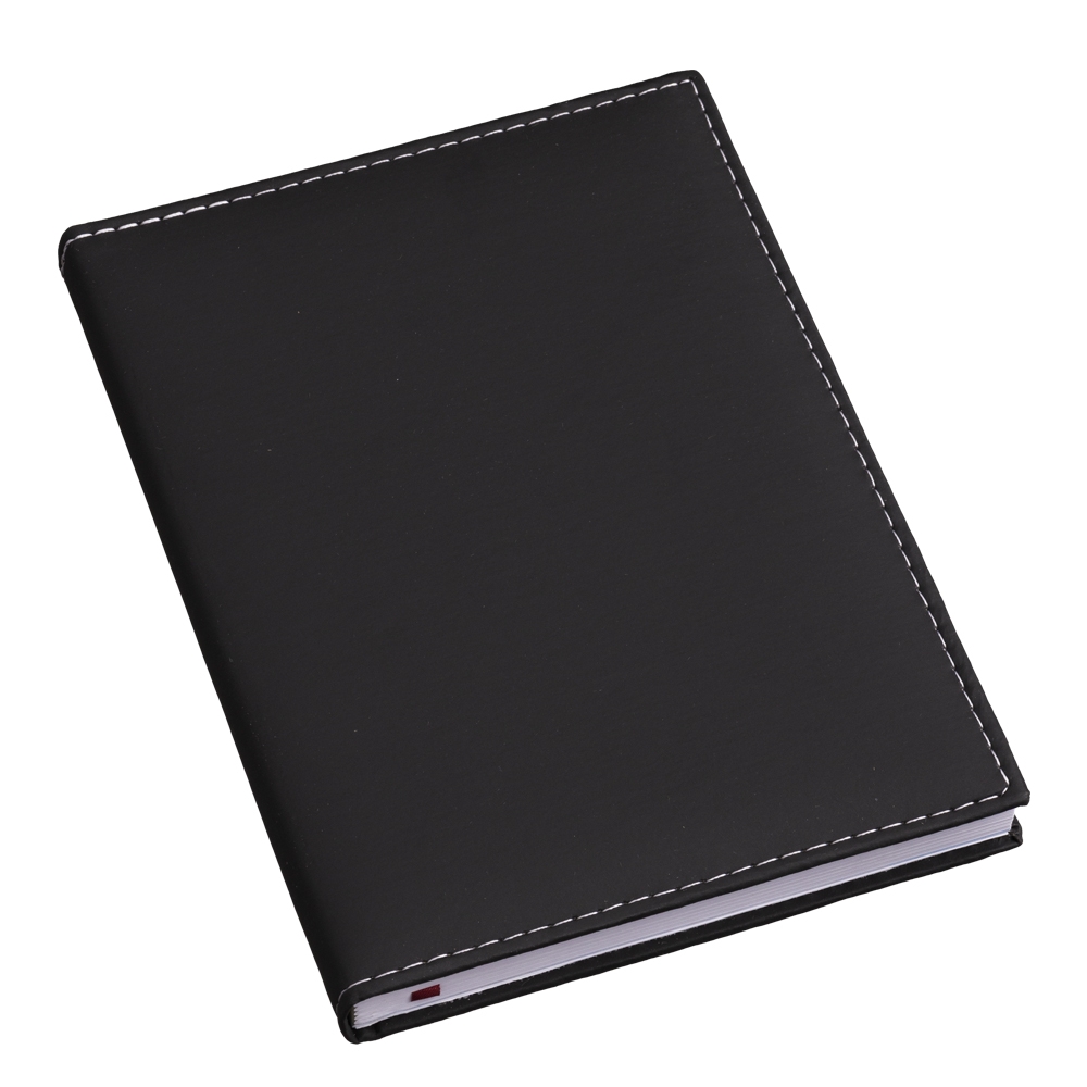 Agenda diária 2025 Personalizada com Logo