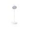 Luminária Articulável em Led Recarregável Personalizada